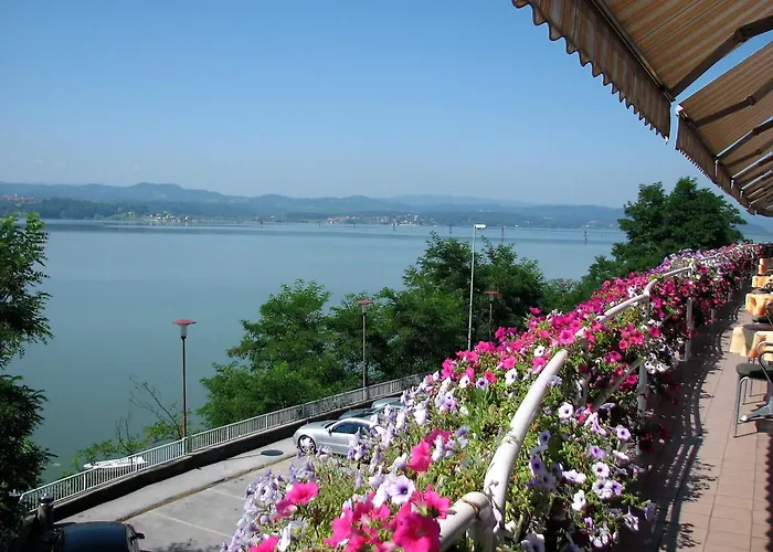 Senad Od Bosne Prokosovici