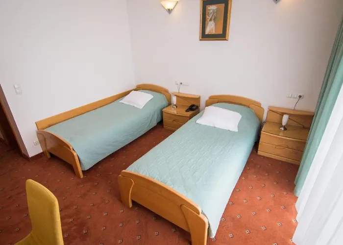 Senad Od Bosne Prokosovici