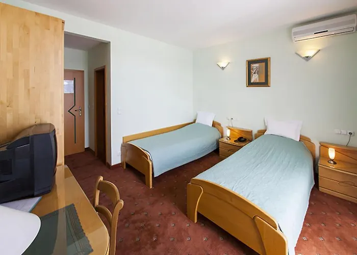 Senad Od Bosne Prokosovici